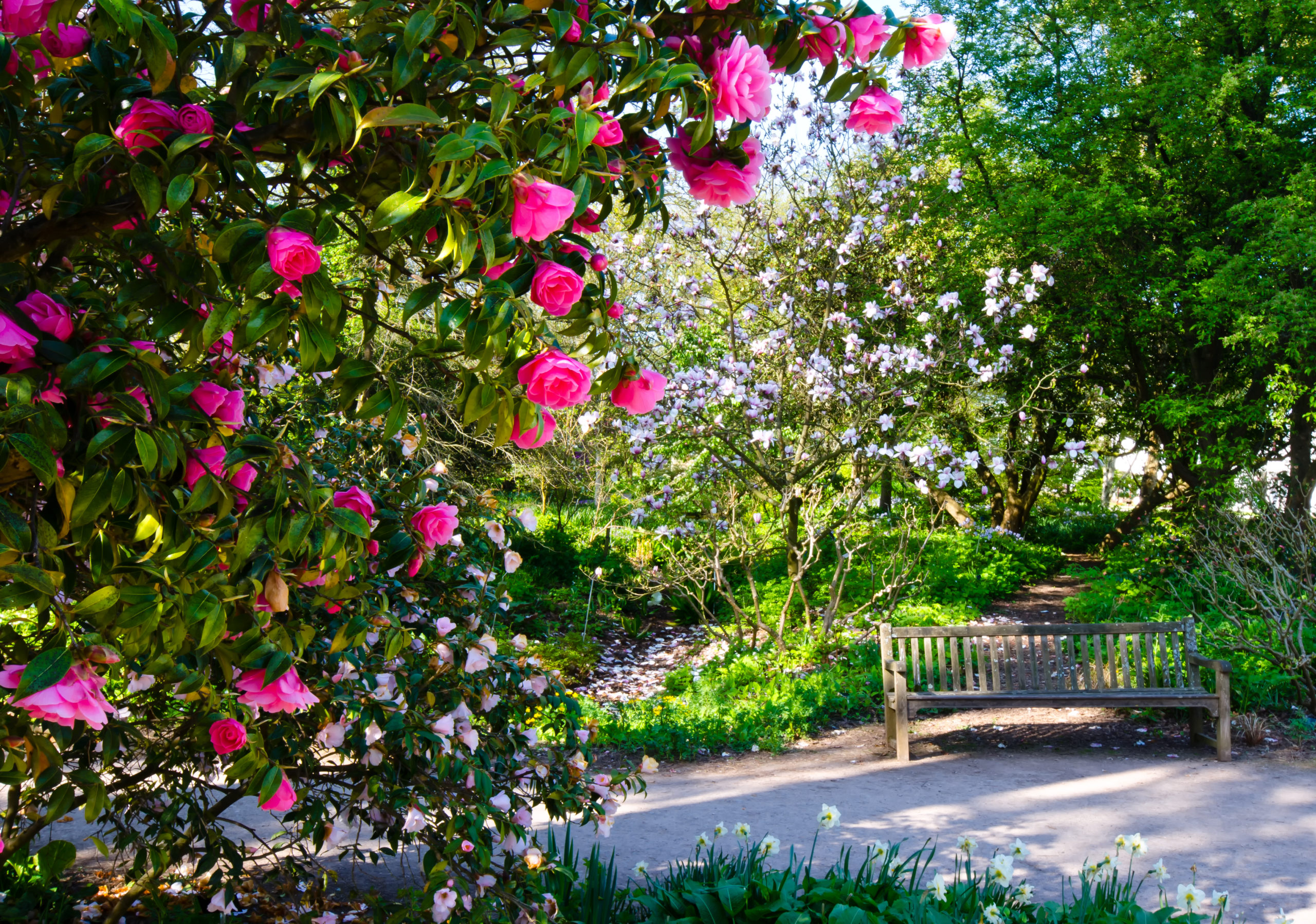 Memorial Garden Ideas To Honour Your, How To Design A Memorial Garden