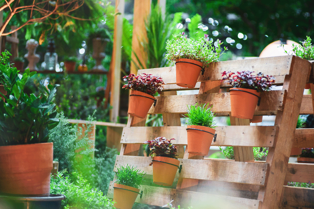 a wooden pallet turned into a garden feature